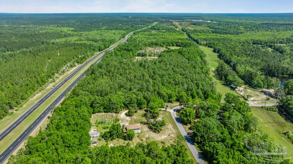 1400 Lake Heights Road Molino, FL 32577 - Photo 14 of 18 a view of a lush green forest with lots of green trees