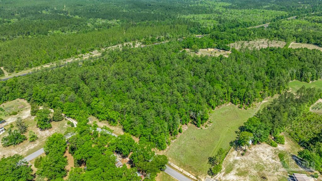 1400 Lake Heights Road Molino, FL 32577 - Photo 15 of 18 a view of a garden