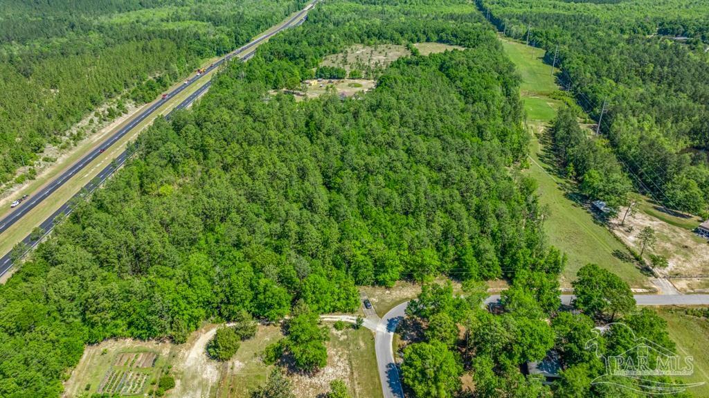 1400 Lake Heights Road Molino, FL 32577 - Photo 16 of 18 a view of a lush green forest with large trees