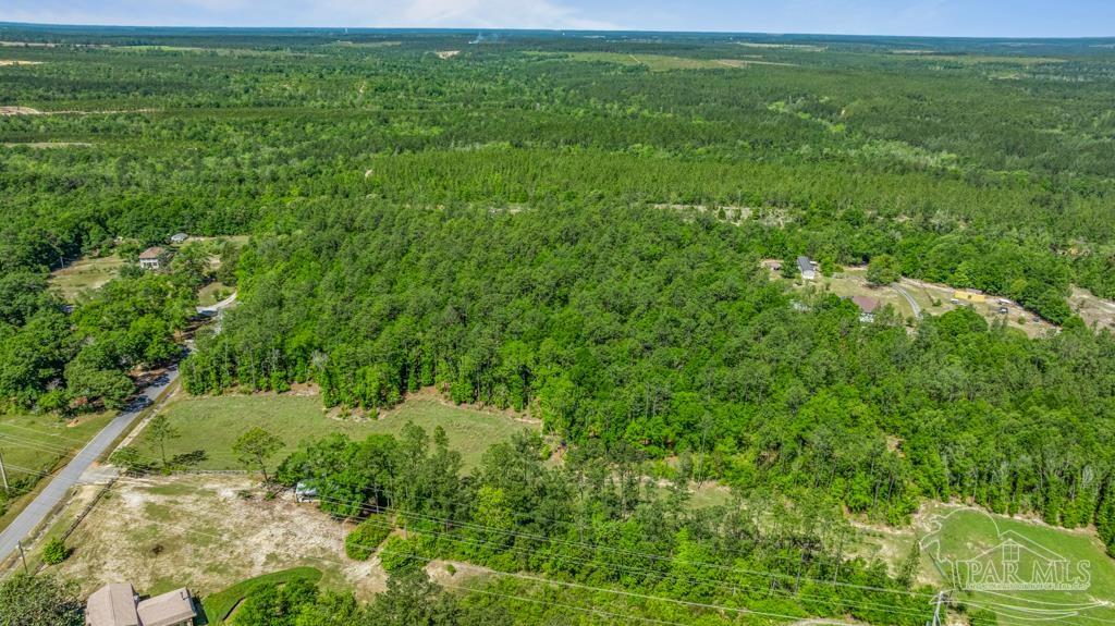 1400 Lake Heights Road Molino, FL 32577 - Photo 9 of 18 a view of a green field with lots of bushes