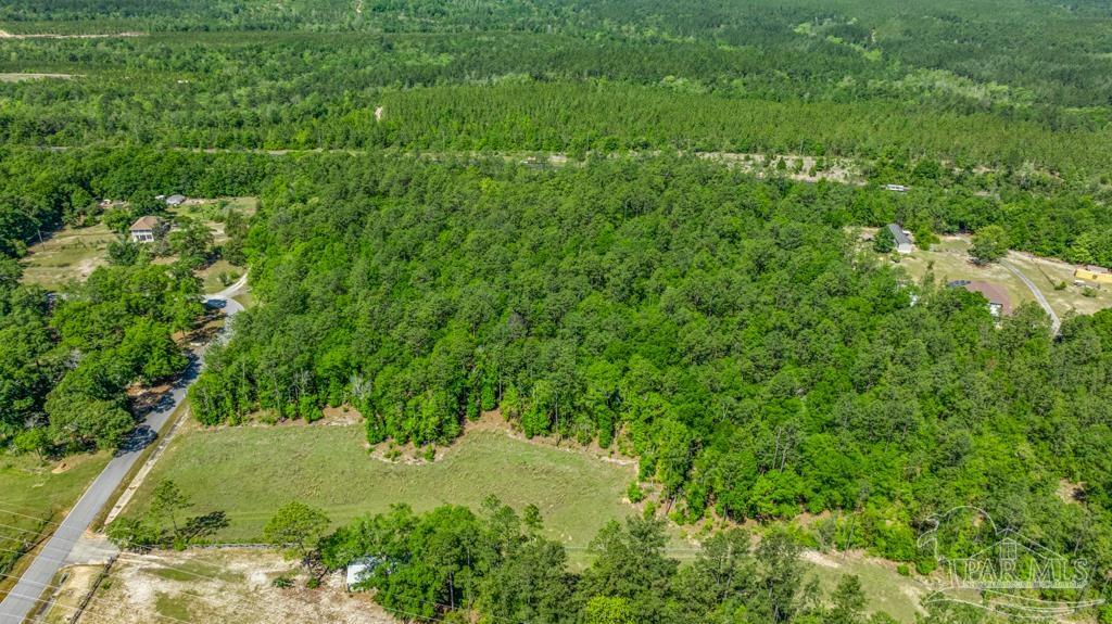 1400 Lake Heights Road Molino, FL 32577 - Photo 10 of 18 a view of a yard