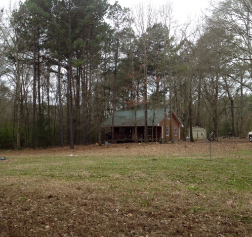Main View