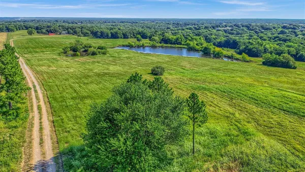 a view of a lush green field