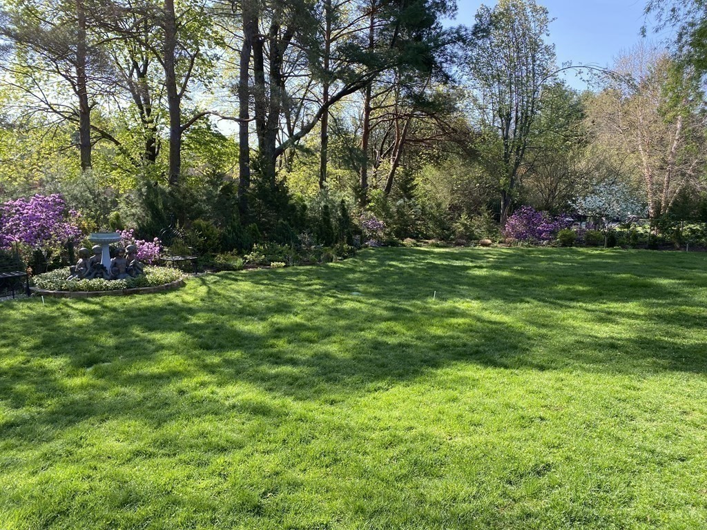 490 Concord Road Sudbury, MA 01776 - Photo 5 of 31 a ground with lots of trees and flowers