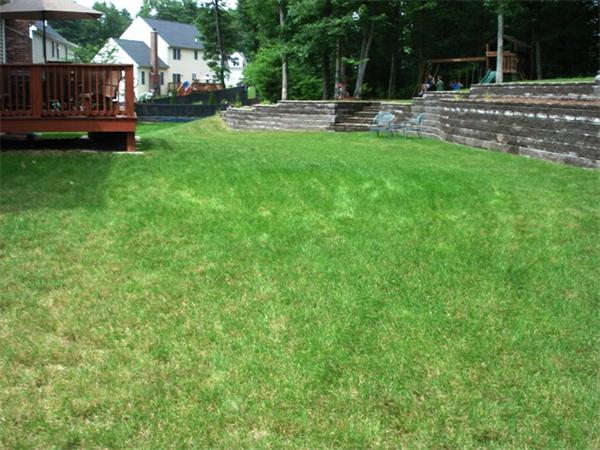 49 Meadowbrook Road Franklin, MA 02038 - Photo 25 of 30 Gallery Image 25
