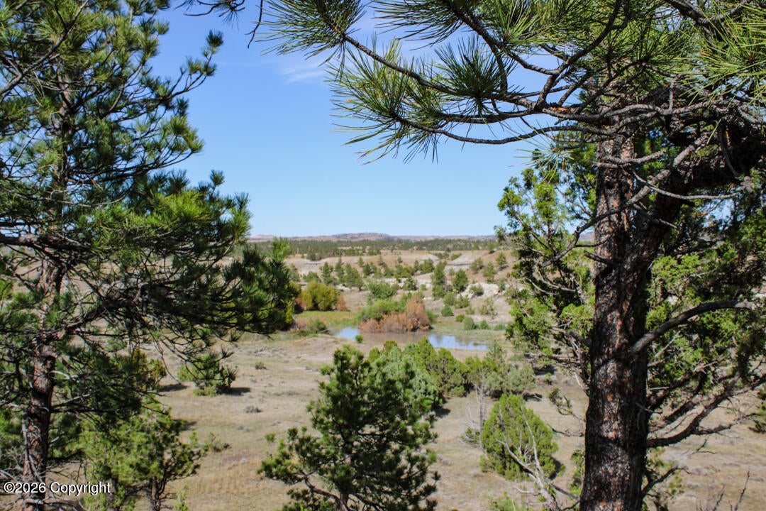 0 Skull Creek Road Osage, WY 82723 - Photo 41 of 51 Gallery Image 41