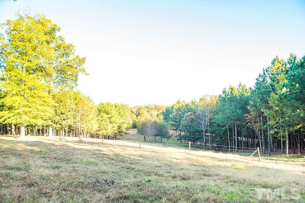 3520 Bowmantown Road Roxboro, NC 27574 - Photo 3 of 24 a view of back yard