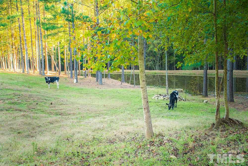 3520 Bowmantown Road Roxboro, NC 27574 - Photo 4 of 24 a view of a park