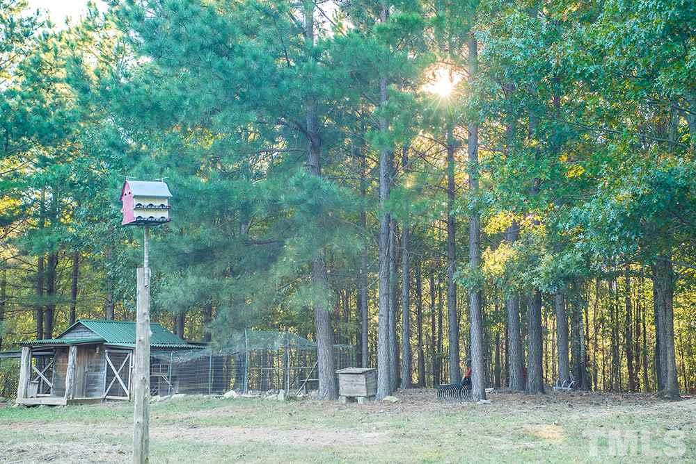 3520 Bowmantown Road Roxboro, NC 27574 - Photo 7 of 24 a backyard of a house with lots of green space