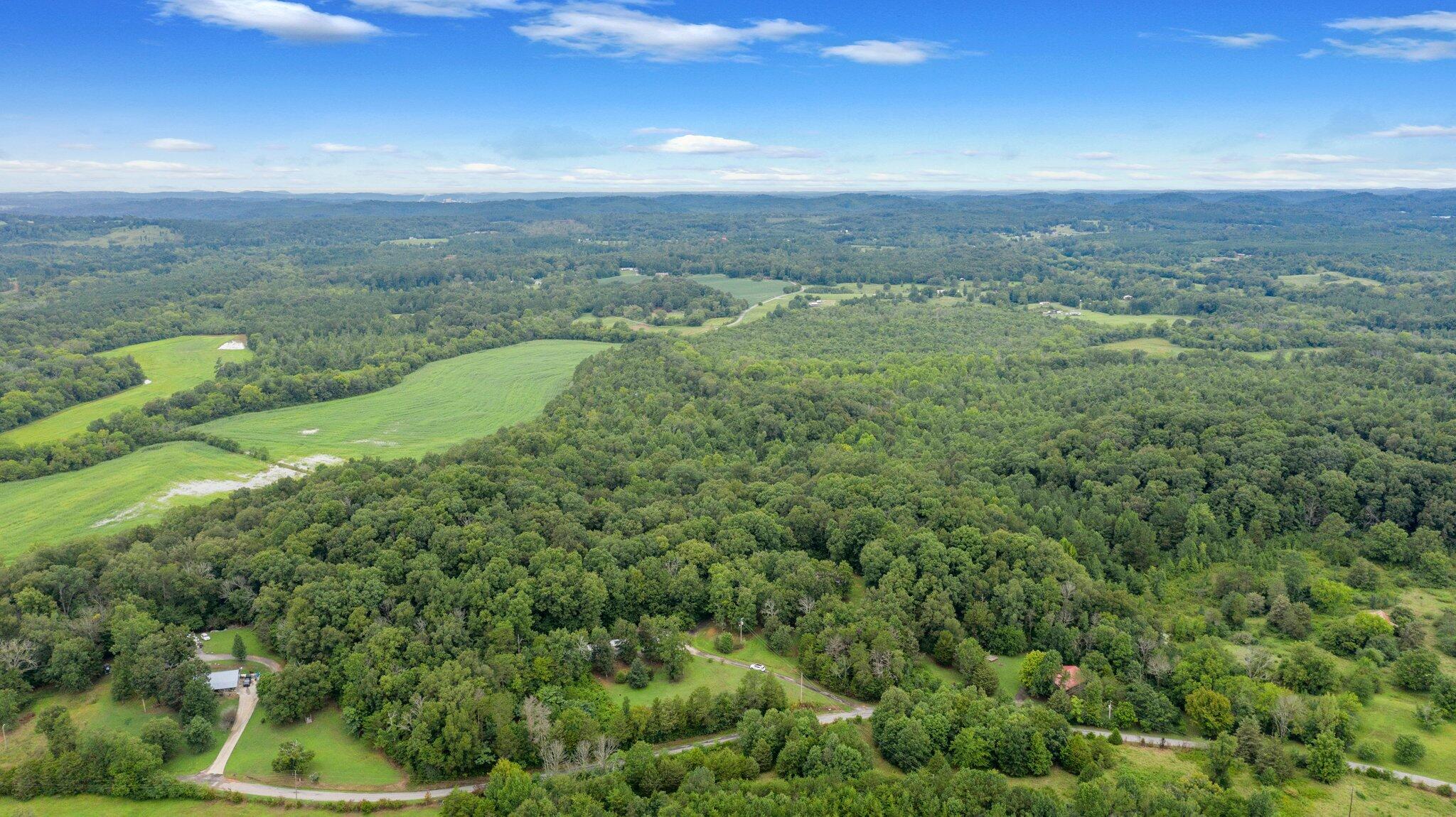 1033 Chestuee Road Delano, TN 37325 - Photo 34 of 38 3-web-or-mls-DJI_0749