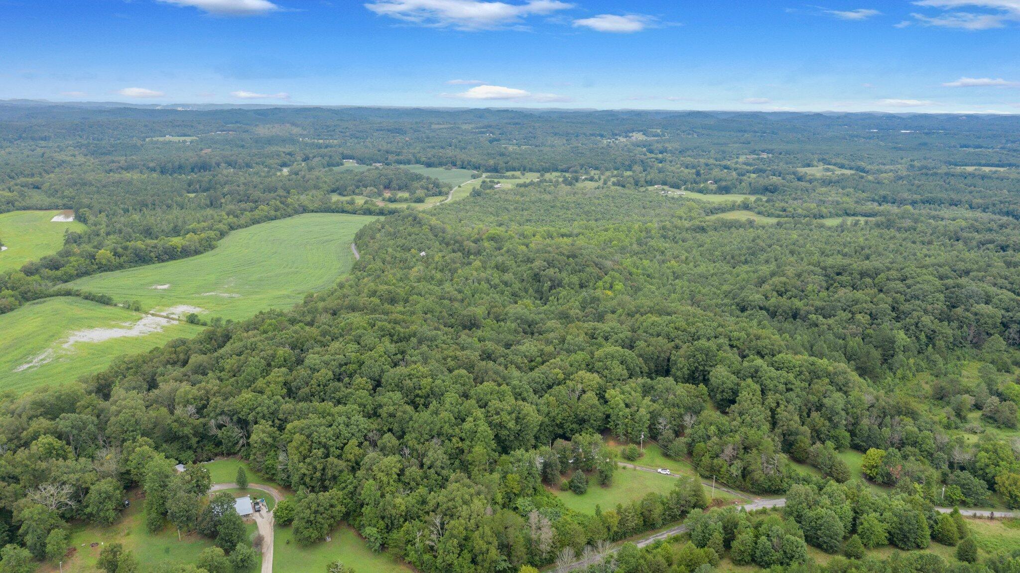 1033 Chestuee Road Delano, TN 37325 - Photo 35 of 38 4-web-or-mls-DJI_0750