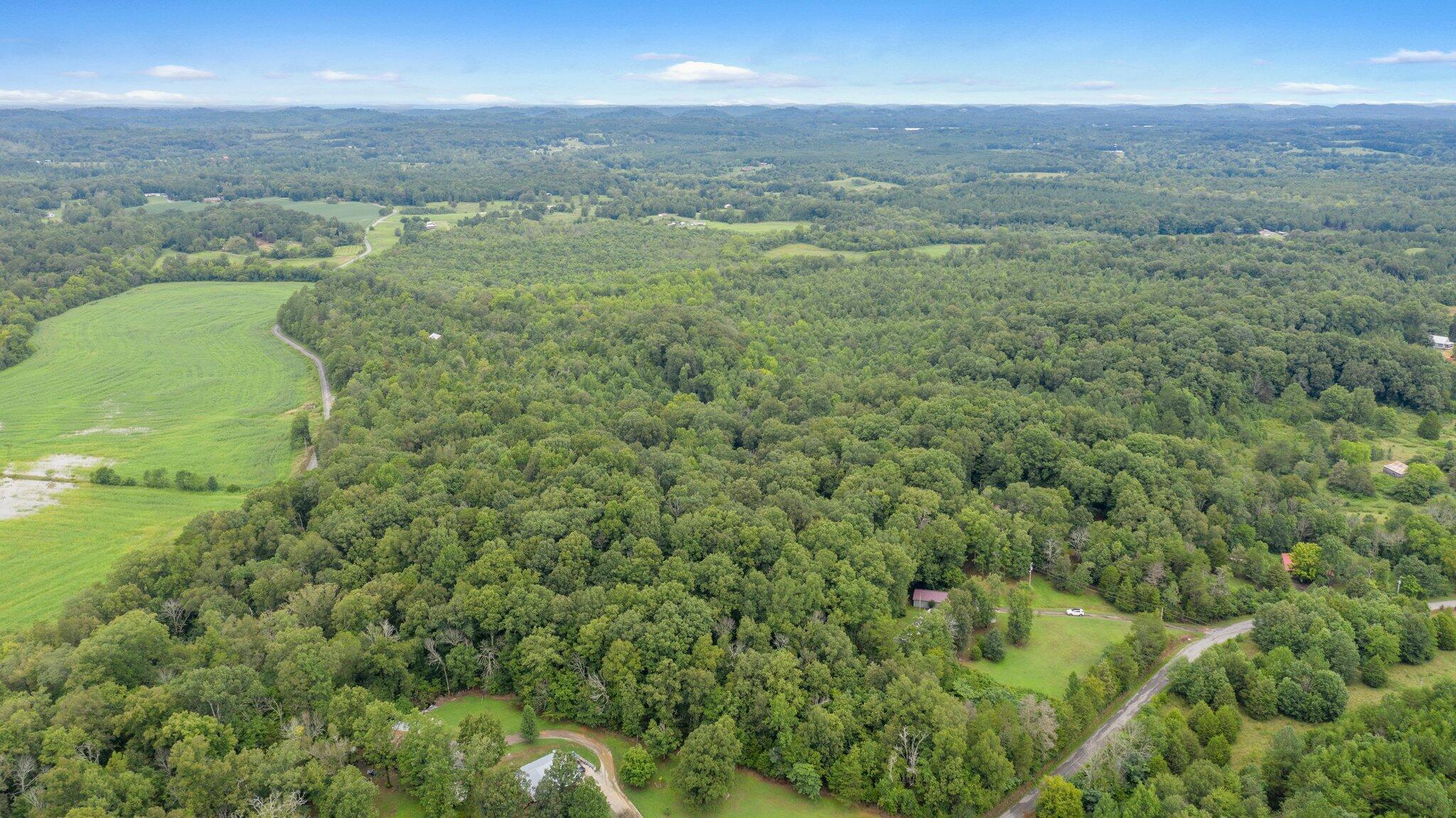 1033 Chestuee Road Delano, TN 37325 - Photo 36 of 38 5-web-or-mls-DJI_0751