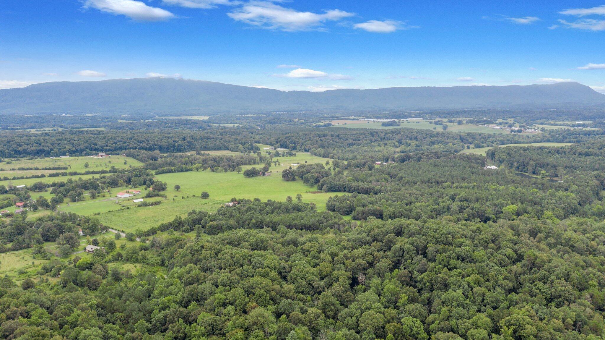 1033 Chestuee Road Delano, TN 37325 - Photo 38 of 38 8-web-or-mls-DJI_0754