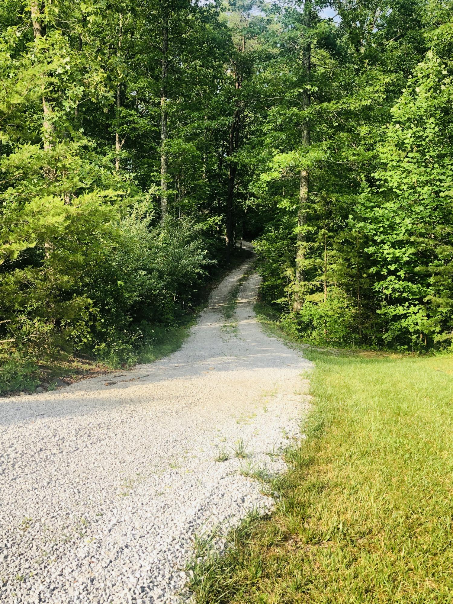 5218 Banner-Roslin Road Jamestown, TN 38556 - Photo 40 of 40 Long Private Driveway