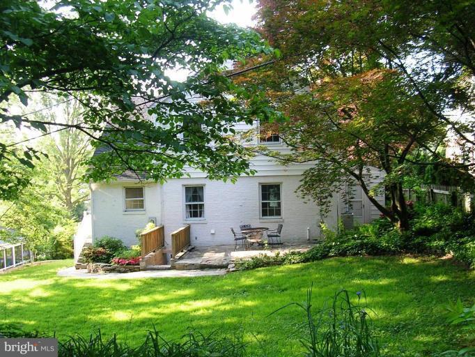 Back yard