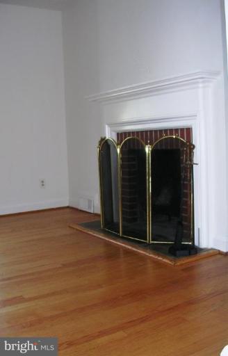 212 North Tyrone Road Baltimore, MD 21212 - Photo 17 of 24 Fireplace