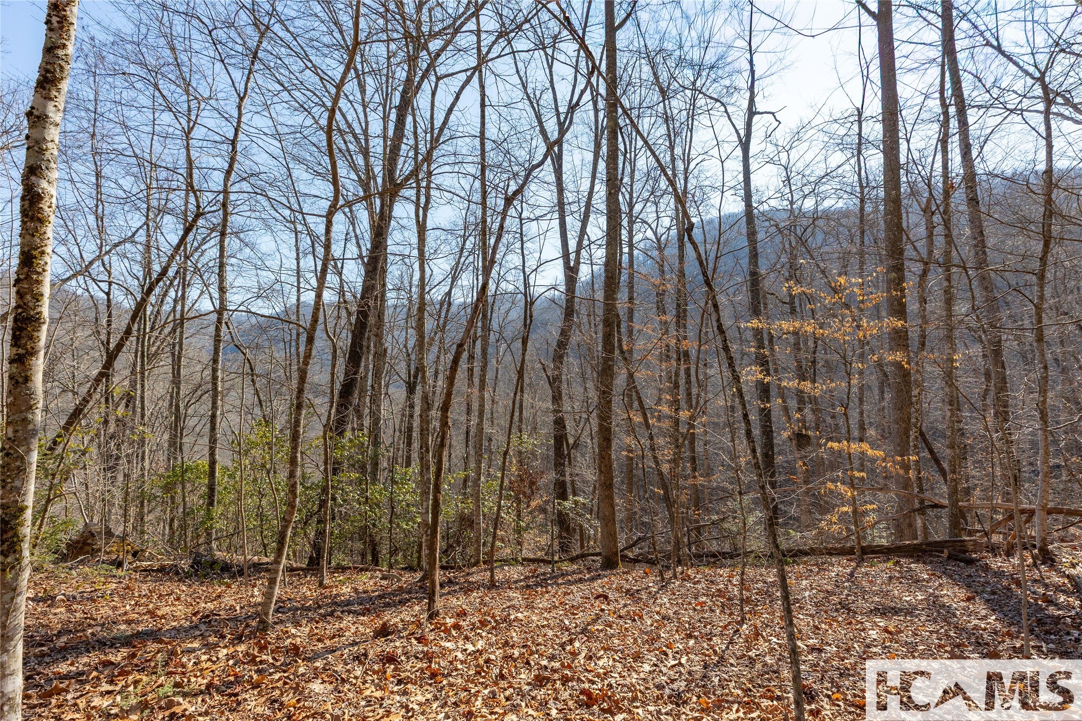 53 Cullowhee Forest Road Cullowhee, NC 28723 - Photo 17 of 41 Gallery Image 17