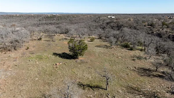 a view of a yard with a tree