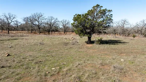 a view of a dry yard with trees