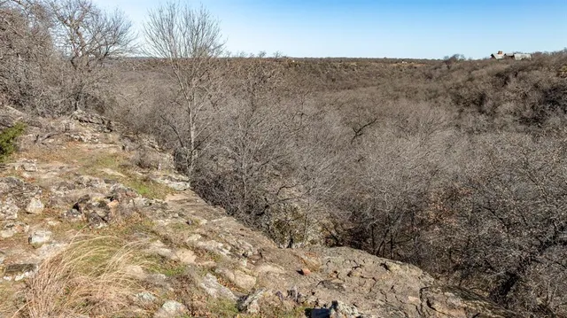 a view of a dry yard