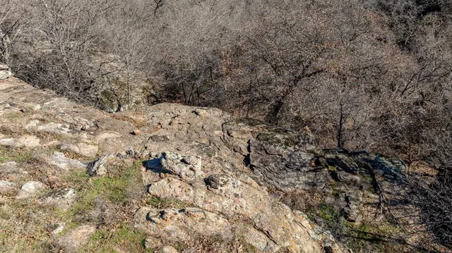a view of a snow in a yard
