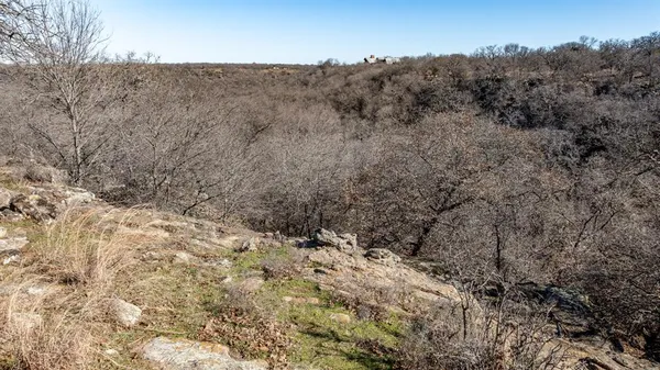a view of a yard with a dry yard