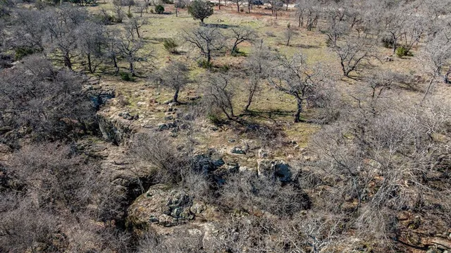 an aerial view of forest