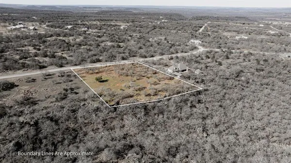 a view of a yard with plants and large trees