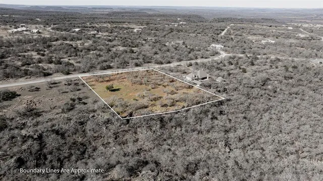 a view of a yard with plants and large trees