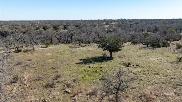 a view of a dry yard with trees in the background