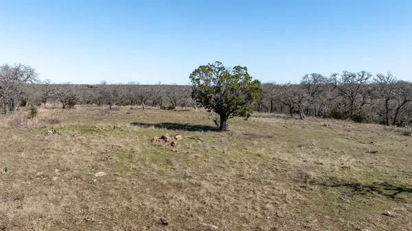 a view of a yard with a tree