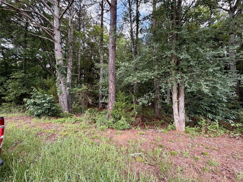 0 Maddox Road Hoschton, GA 30548 - Photo 8 of 17 Gallery Image 8