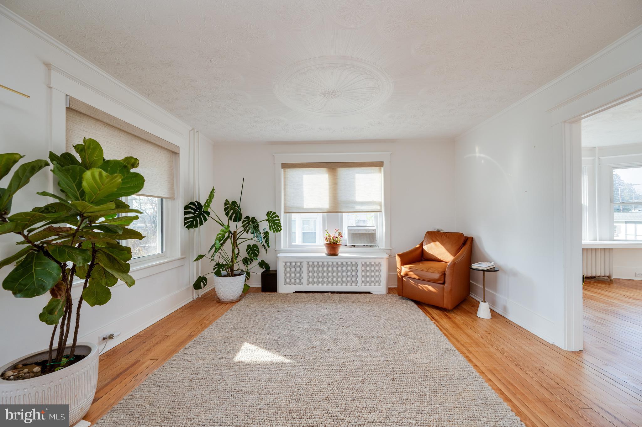 2021 Noble Street Reading, PA 19609 - Photo 11 of 54 a living room with furniture and a potted plant