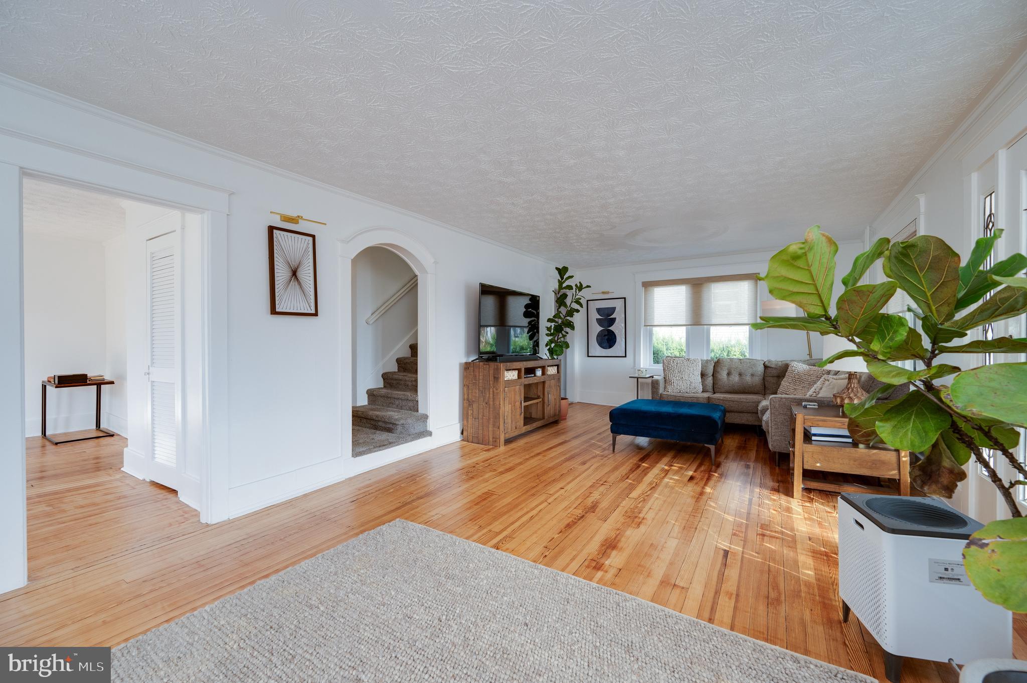 2021 Noble Street Reading, PA 19609 - Photo 12 of 54 a living room with furniture and a potted plant