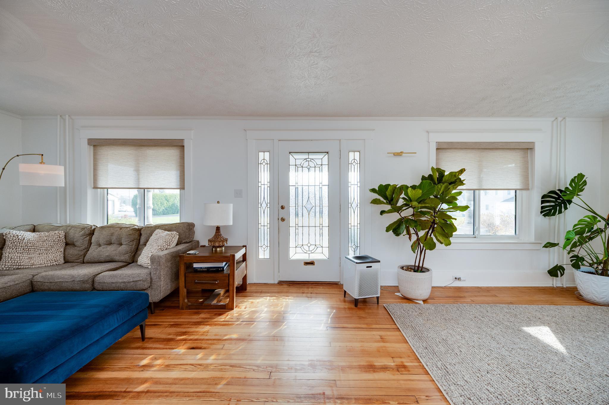 2021 Noble Street Reading, PA 19609 - Photo 7 of 54 a living room with furniture and a potted plant