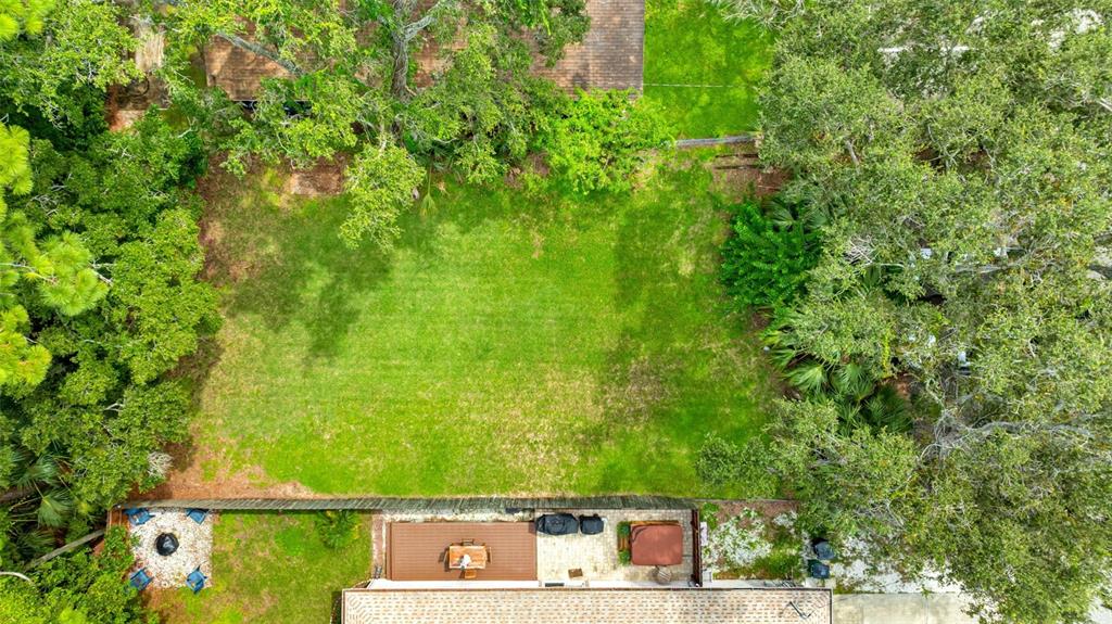 422 Mapleway Safety Harbor, FL 34695 - Photo 3 of 13 a view of a yard with a tree