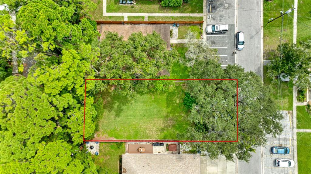 422 Mapleway Safety Harbor, FL 34695 - Photo 4 of 16