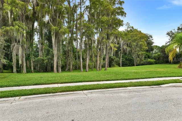 $869,000 | 1353 El Pardo Drive, Trinity, FL 34655