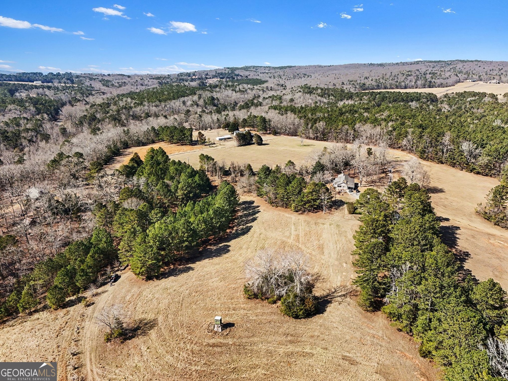0 Vineyard Road Thomaston, GA 30286 - Photo 8 of 40