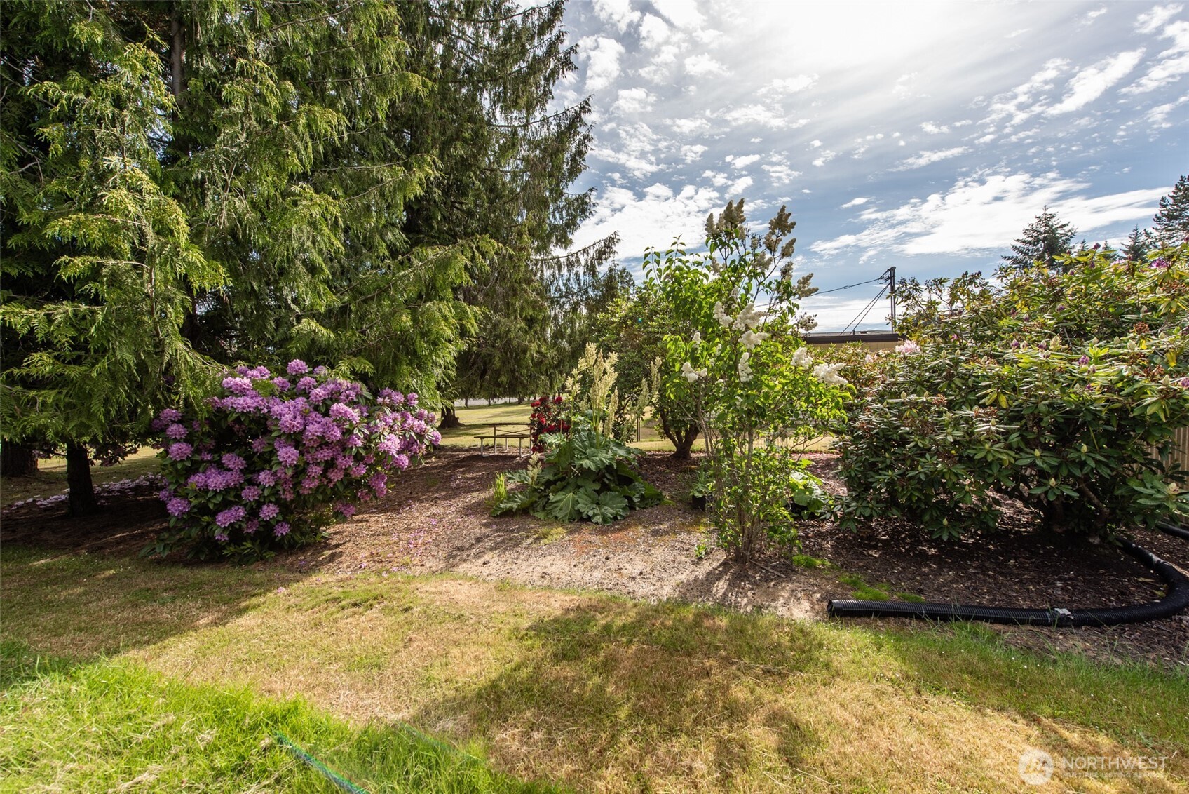 612 Monroe Road Port Angeles, WA 98362 - Photo 8 of 36 Gallery Image 8