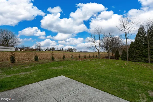 a view of a big yard with flower