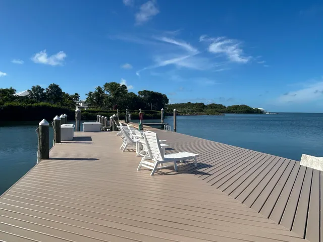 a water view of a lake with palm trees