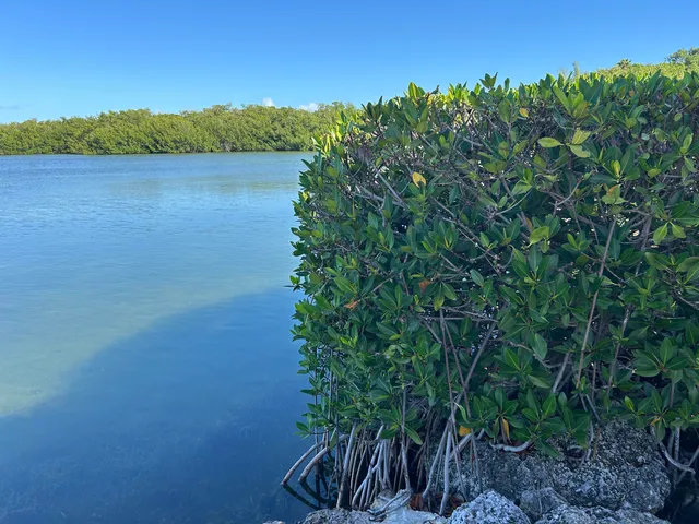 $5,000 | 94220 Overseas Highway, Unit 6D, Tavernier, FL 33037