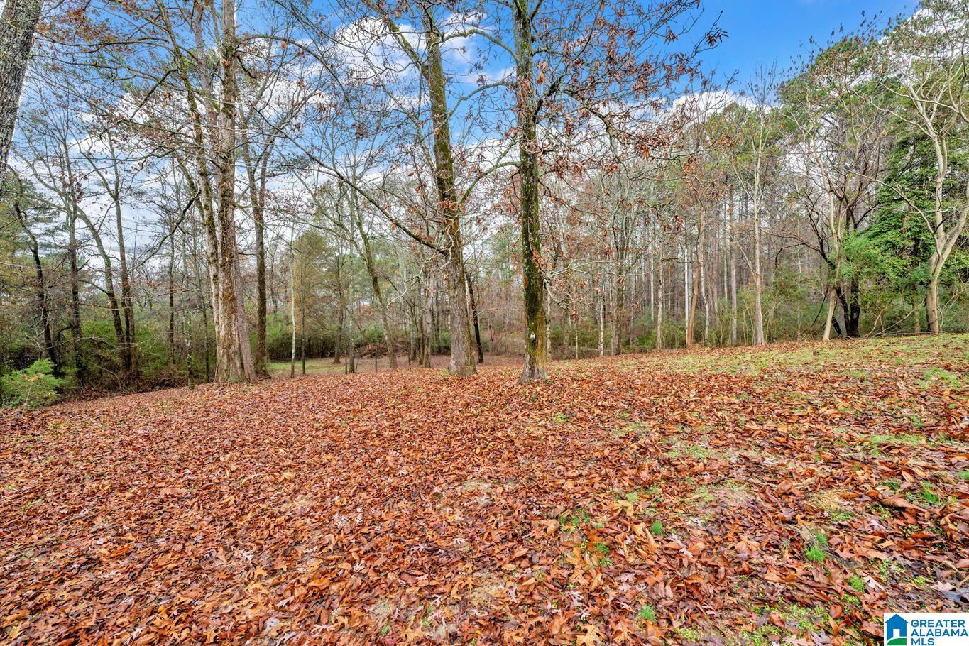 9722 Corner School Road Warrior, AL 35180 - Photo 30 of 43