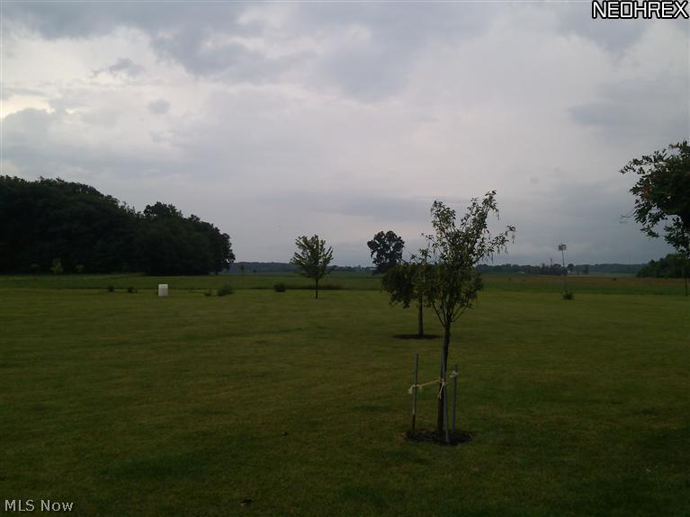 45785 Stewart Road Sullivan, OH 44880 - Photo 6 of 24 Awesome views in back yard!!