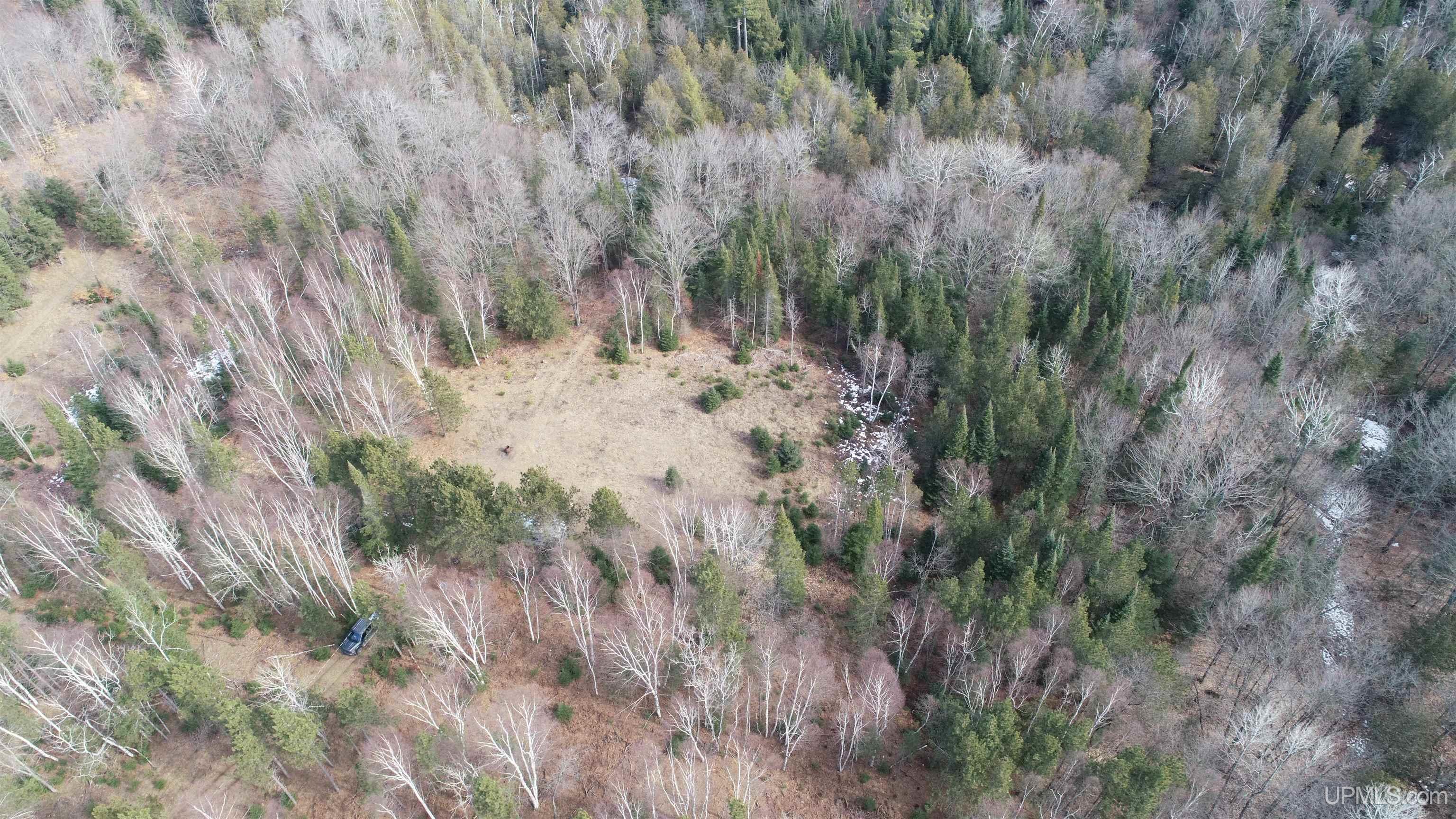 2330 S Little Harbor Road Manistique, MI 49854 - Photo 55 of 55