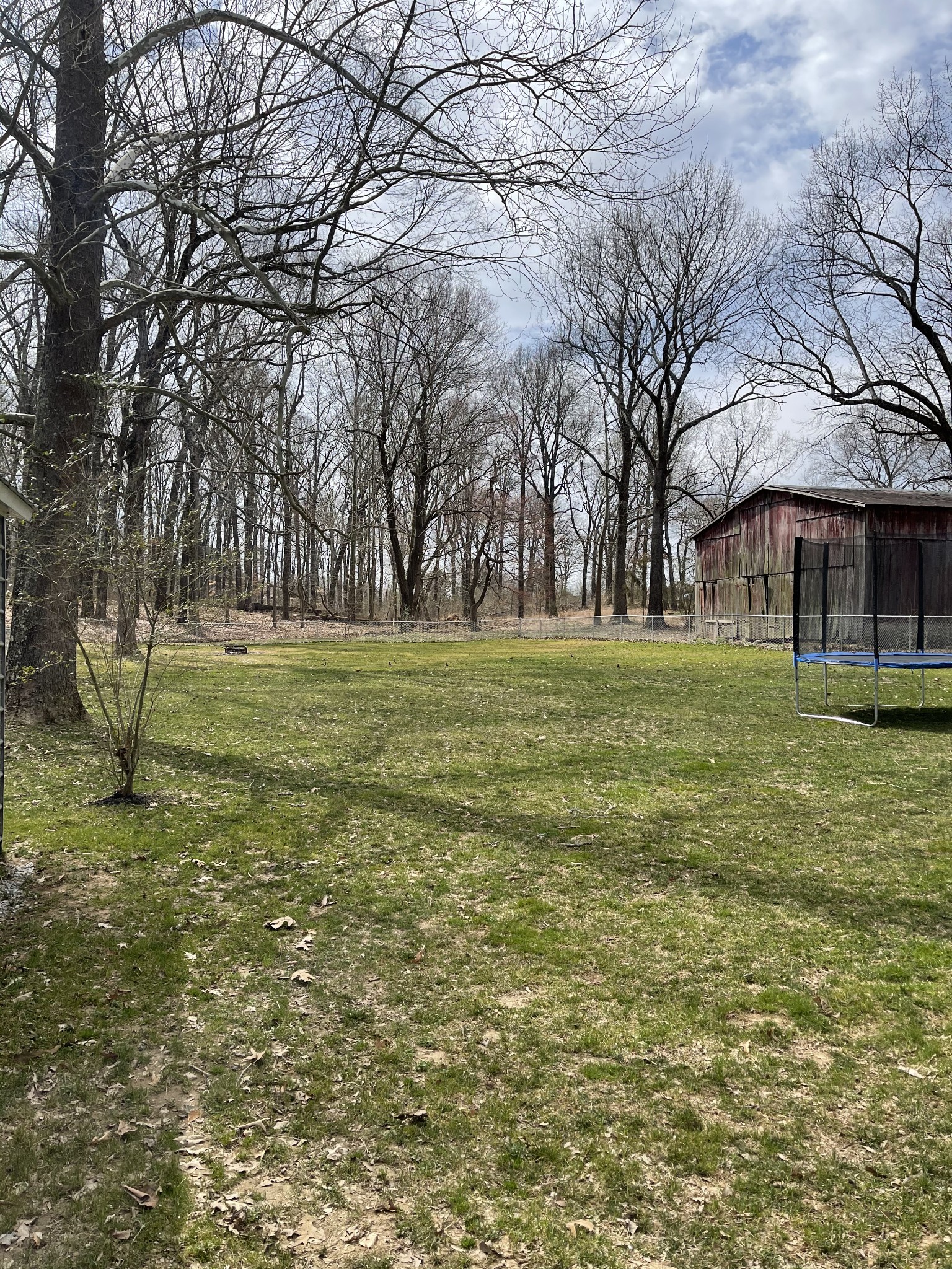127 Point Road Portland, TN 37148 - Photo 4 of 9