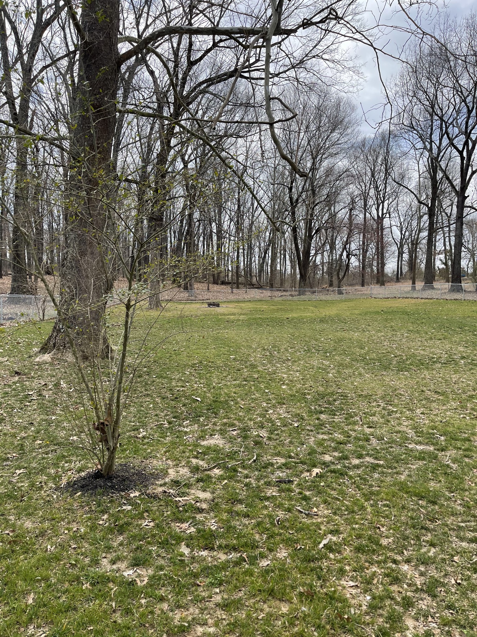 127 Point Road Portland, TN 37148 - Photo 5 of 9