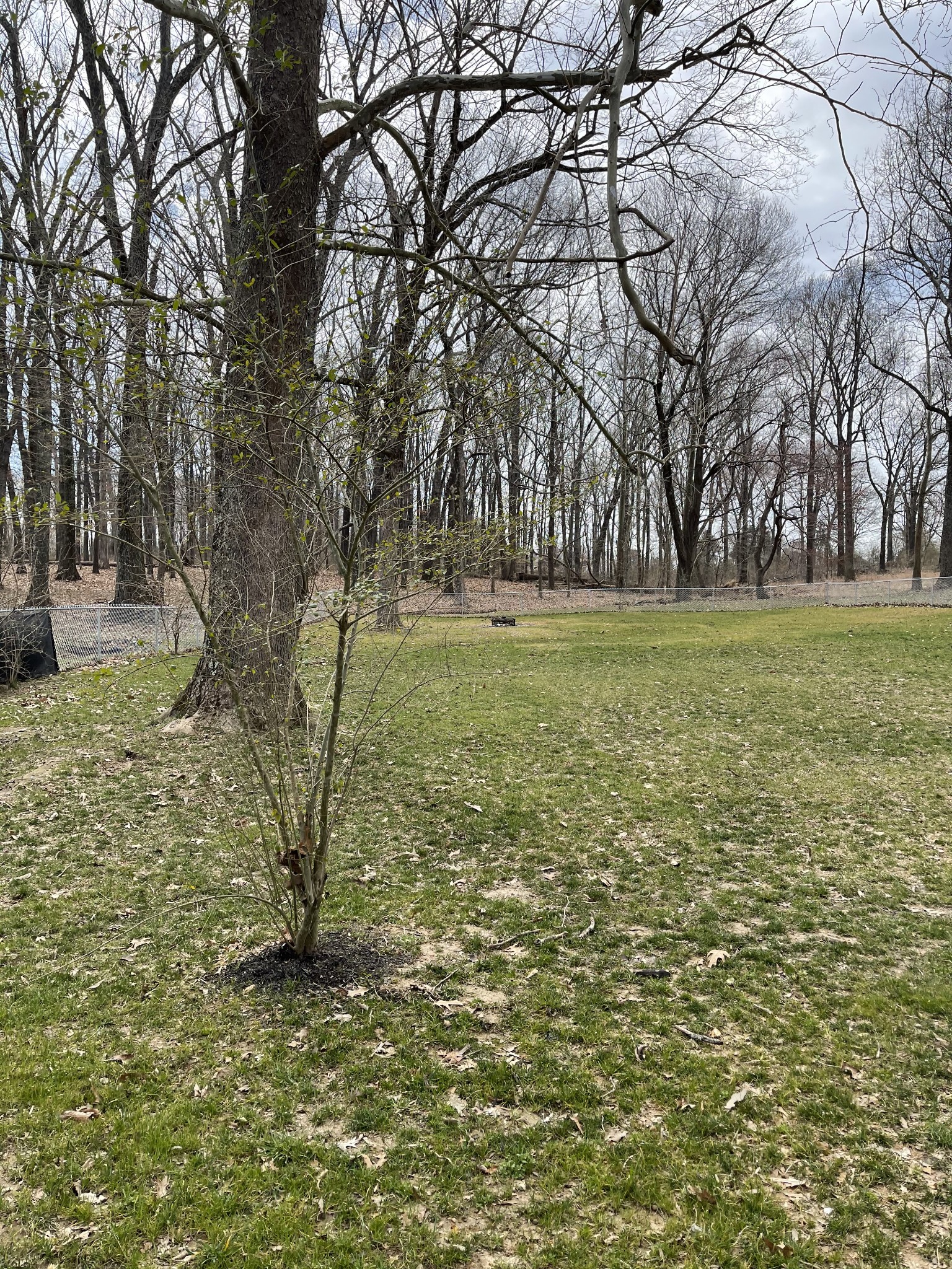 127 Point Road Portland, TN 37148 - Photo 6 of 9