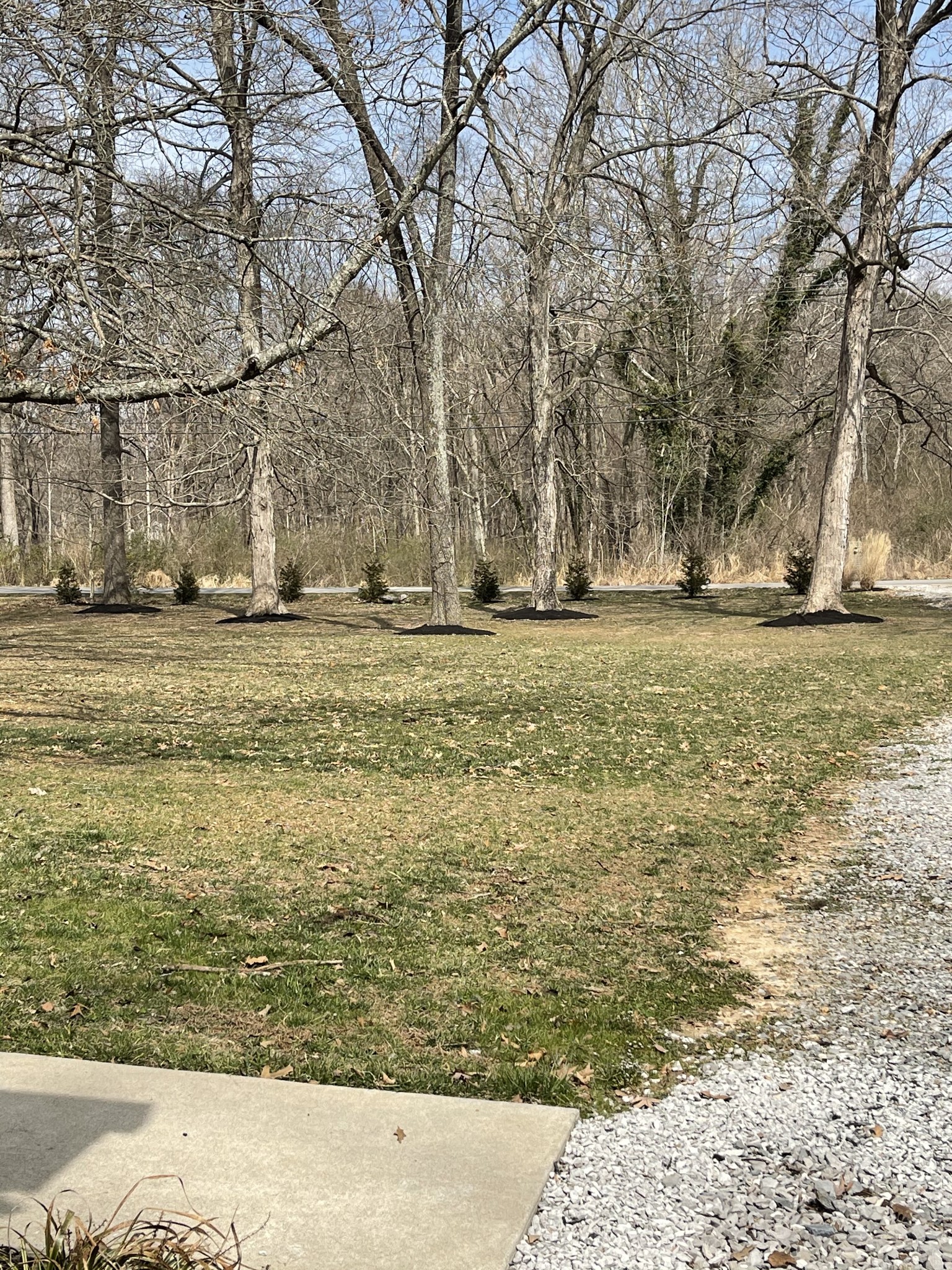 127 Point Road Portland, TN 37148 - Photo 9 of 9